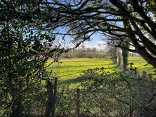 À vendre – Charmante maison en pierre plus un terrain indépendant - 13 km d’Aunay-sur-Odon et de Condé-sur-Noireau