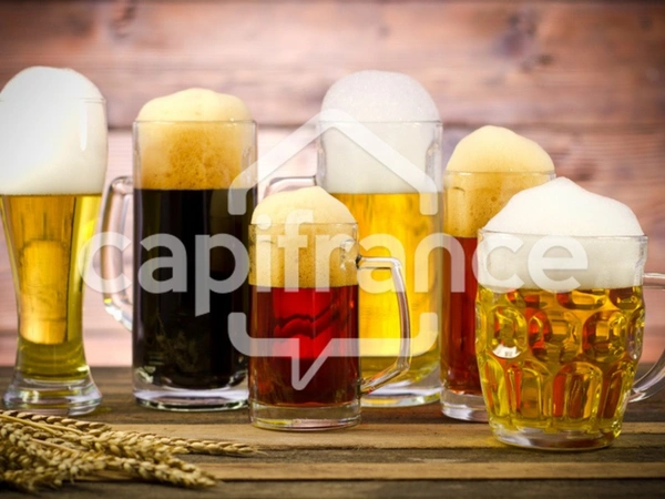 Local commercial à louer WASSELONNE (67) : Bar - 140 m2 - 80 Pl Int - 70 Pl Terrasse - 13 Becs à Bière Pression - Emplacement N° 1 - Parking gratuit 50 Pl.