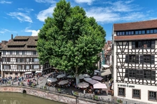 Fonds de commerce à vendre STRASBOURG (67) : Quartier Historique - 204 m2 - Emplaceement n° 1 ++ - Flux Touristes et Locaux - Loyer 10 000 € HT  