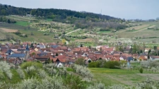 Terrain à vendre  proche de MARLENHEIM (67) : Terrain Viabilisé : 577 m2 -  Lotissement Strengenfeld - Libre architecte et constructeur - Plat - taille humaine