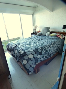 Île des pêcheurs. Appartement 4 pièces en duplex