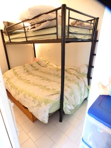 Île des pêcheurs. Appartement 4 pièces en duplex