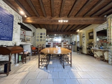 SEMUR 20 min : maison rénovée 239 m² + gîte 110 m², dépendances, jardin, piscine. Prix : 580 000 €.