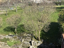 SEMUR EN AUXOIS 10min : maison rénovée 140m², 6 pièces, 4 chambres, garage, jardin. Prix : 213 000€.