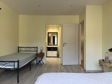SEMUR EN AUXOIS : maison rénovée 180m²+ appartement 50m², garage, dépendance, jardin. Prix: 425 000€