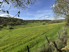 Semur-en-Auxois 20 min: maison de 360m², 10 pièces, 6 chambres, terrain 1700m², atelier. Prix : 410 000€.