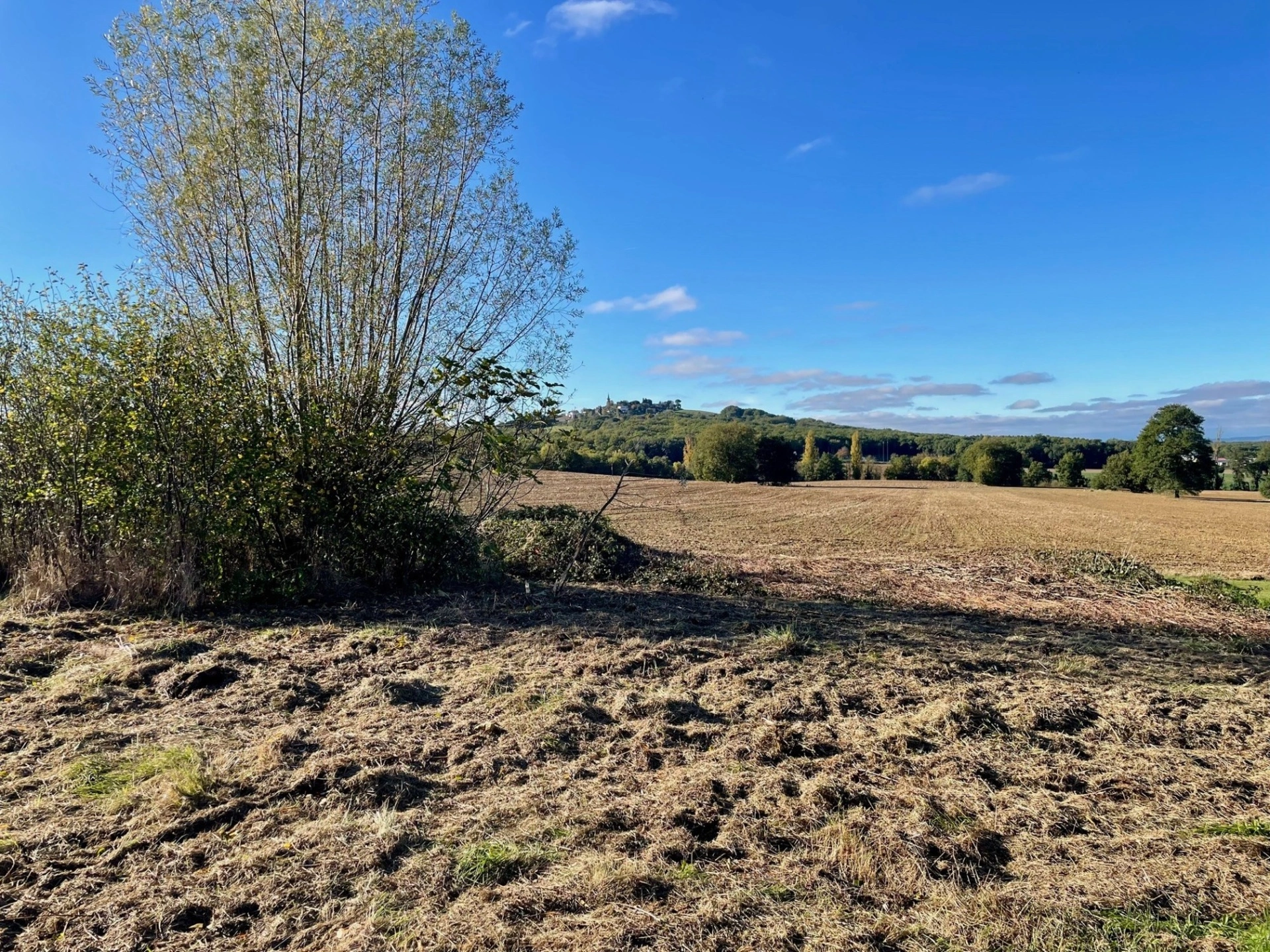 EXCLUSIVITÉ - TERRAIN 1000 m2 - PAULHAC · 105 000 €