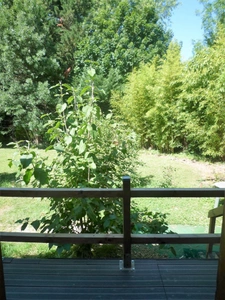 EXCLUSIVITÉ - ENSEMBLE IMMOBILIER