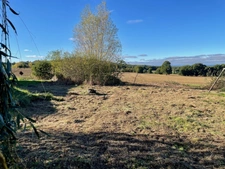 EXCLUSIVITÉ - TERRAIN 1000 m2 - PAULHAC 