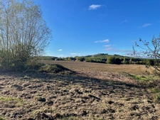 EXCLUSIVITÉ - TERRAIN 1000 m2 - PAULHAC 