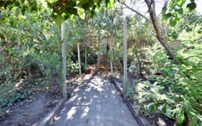 VENTE - MAISON DE VILLAGE - JARDIN 