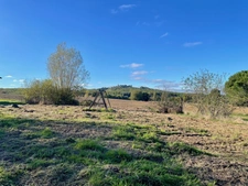 EXCLUSIVITÉ - TERRAIN 1000 m2 - PAULHAC 