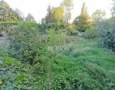 PROCHE DE SAINT GERMAIN EN LAYE, SUR LA COMMUNE D'ORGEVAL