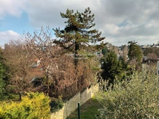SUR LA COMMUNE DE MAREIL-MARLY, LIMITROPHE DE SAINT GERMAIN EN LAYE