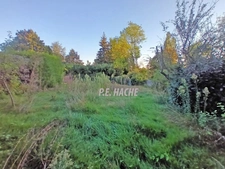 PROCHE DE SAINT GERMAIN EN LAYE, SUR LA COMMUNE D'ORGEVAL