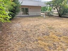 SUR LA COMMUNE DE SAINT GERMAIN EN LAYE