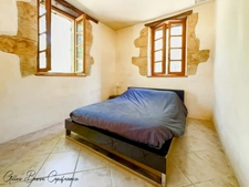 House and outbuildings in MAUZAC ET GRAND CASTANG (24)