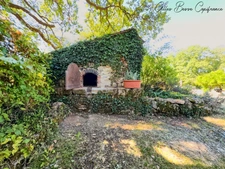 House and outbuildings in MAUZAC ET GRAND CASTANG (24)