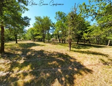 House and outbuildings in MAUZAC ET GRAND CASTANG (24)