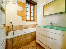 House and outbuildings in MAUZAC ET GRAND CASTANG (24)