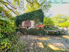 House and outbuildings in MAUZAC ET GRAND CASTANG (24)