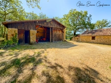 House and outbuildings in MAUZAC ET GRAND CASTANG (24)