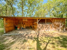 House and outbuildings in MAUZAC ET GRAND CASTANG (24)