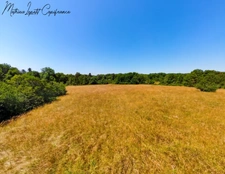 Terrain à vendre de 13 200,00 m² CUBJAC (24)