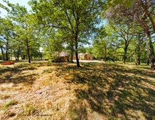 House and outbuildings in MAUZAC ET GRAND CASTANG (24)