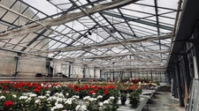 TERRAIN 44 ARES ZONE UA +MAISON HABITATION +SERRES HORTICOLES