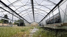 TERRAIN 44 ARES ZONE UA +MAISON HABITATION +SERRES HORTICOLES