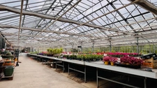 TERRAIN 44 ARES ZONE UA +MAISON HABITATION +SERRES HORTICOLES