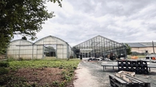 TERRAIN 44 ARES ZONE UA +MAISON HABITATION +SERRES HORTICOLES