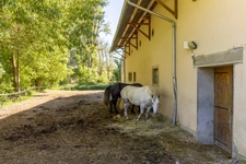DOMAINE EQUESTRE - BOXES-MANEGE-CARRIERE-APPARTEMENT