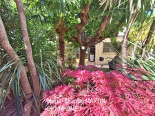 13005 Marseille  REZ DE JARDIN – Garage, Jardin Privatif et Cave