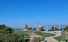 STUDIO MEUBLÉ AVEC TERRASSE ET VUE MER – MARSEILLE 13008
