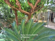 13005 Marseille  REZ DE JARDIN – Garage, Jardin Privatif et Cave