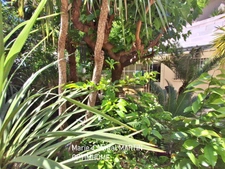 13005 Marseille  REZ DE JARDIN – Garage, Jardin Privatif et Cave