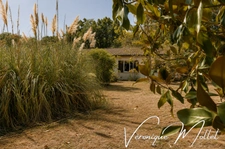 LIGNAN DE BORDEAUX - AUX PORTES DE FARGUES ST HILAIRE - SUR 2591M2 ET SUR SOUS-SOL INTEGRAL