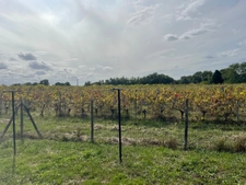 BOURG DE CARIGNAN DE BORDEAUX