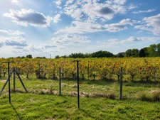 BOURG DE CARIGNAN DE BORDEAUX