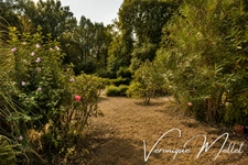 LIGNAN DE BORDEAUX - AUX PORTES DE FARGUES ST HILAIRE - SUR 2591M2 ET SUR SOUS-SOL INTEGRAL