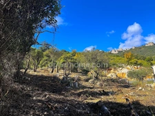 Terrain constructible au coeur du Pays Cathare.