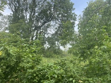 Terrain à vendre  BETHEMONT LA FORET (95)