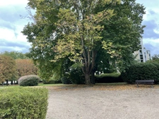 Appartement à louer 3 pièces SAINT GERMAIN EN LAYE 