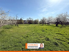 🏡 EXCLUSIVITÉ – GRANDE MAISON FAMILIALE DE 230 M² SUR 4000 M² DE TERRAIN À LÈVES 🌿