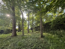 VALLEE DE L'EURE - MAISON DE PLAIN-PIED - TRES GRAND TERRAIN 