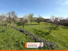 🏡 EXCLUSIVITÉ – GRANDE MAISON FAMILIALE DE 230 M² SUR 4000 M² DE TERRAIN À LÈVES 🌿