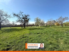 🏡 EXCLUSIVITÉ – GRANDE MAISON FAMILIALE DE 230 M² SUR 4000 M² DE TERRAIN À LÈVES 🌿