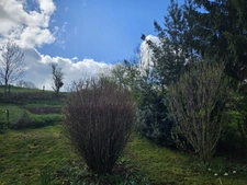 Maison à vendre 6 pièces SAULZET LE FROID (63)